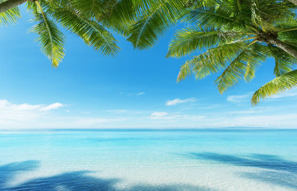 istock Tropical paradise beach scene for background or wallpaper 2185507947