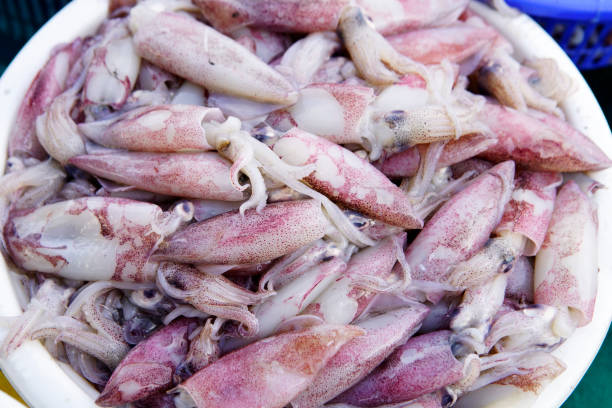 A vibrant display of freshly caught squid piled in a white bowl, exhibiting various unique textures and colors, perfect for culinary inspiration or seafood-focused projects.