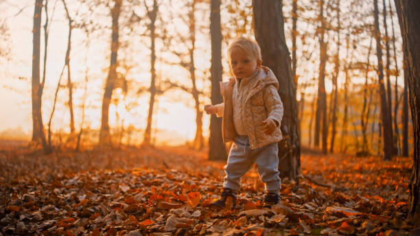 istock Caucasian Toddler Boy Explores Autumn Forest 2185513809
