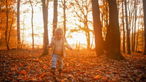 istock Young Child Revels in Autumn Forest Splendor 2185513826
