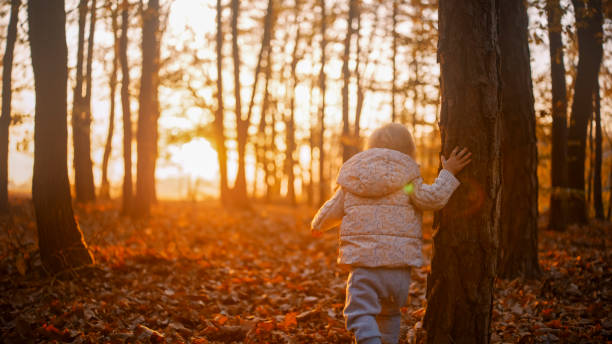istock Autumn Serenity with Toddler in Forest at Sunset 2185513871