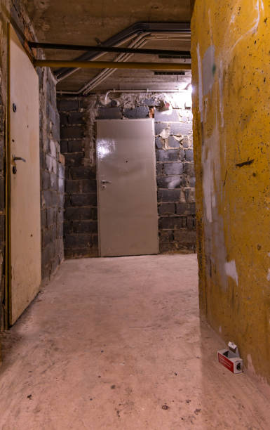 istock Rodent poison, rats and mice in the basement 2185514323