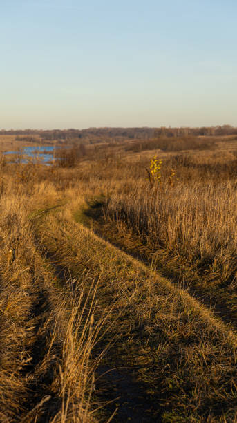 istock A dirt road winds through a grassy field with a serene river 2185515730
