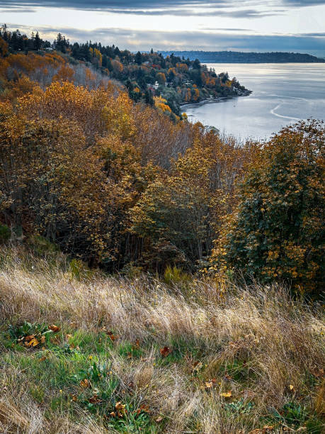 istock Autumn View Overlooking Puget Sound 2185517377