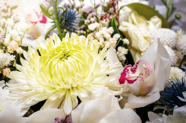 istock White bouquet of different flowers 2185524932