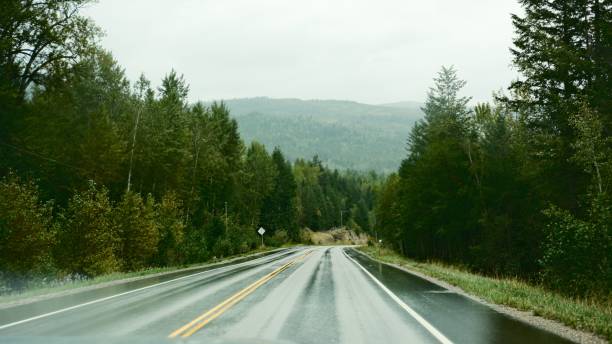 istock Scenic road through lush forest to distant mountains 2185526343