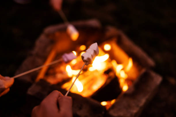 istock Close up of hand holding pine tree shaped marshmallow on a stick and baking it on a hot campfire. 2185526587