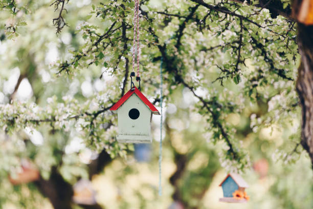 istock A rustic, wooden birdhouse hangs delicately by a string 2185527014