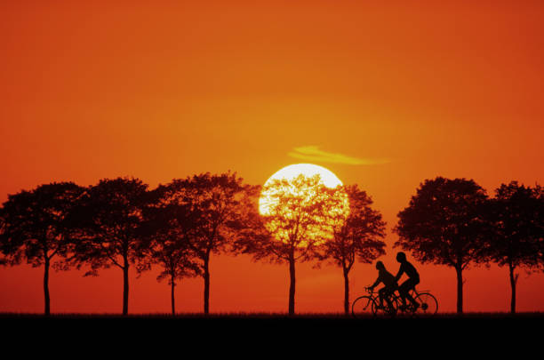 France Loire valley  tourists on bikes at sunset