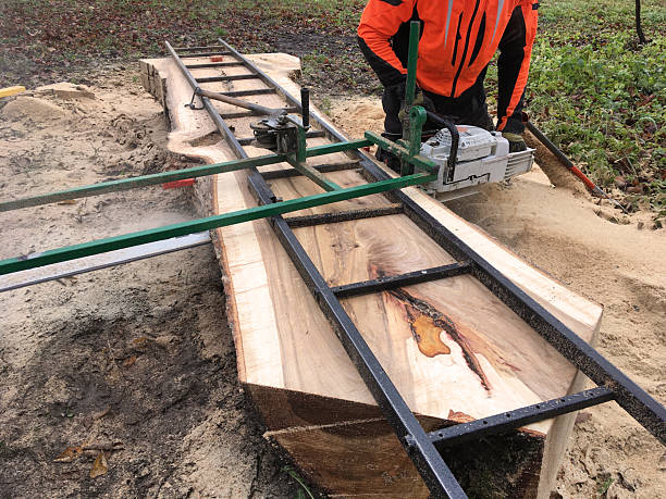 istock Cutting wood into slabs with a chainsaw. 2185531048