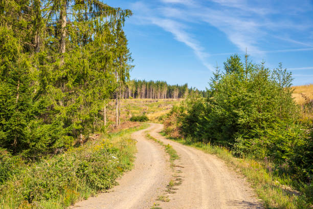 istock Landscape Der Harz national park, Germany. 2185532048