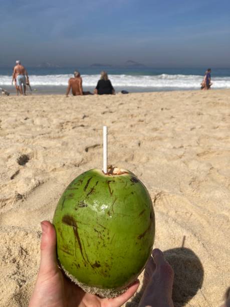 istock Exploring the Iconic Beaches of Ipanema and Copacabana 2185532961