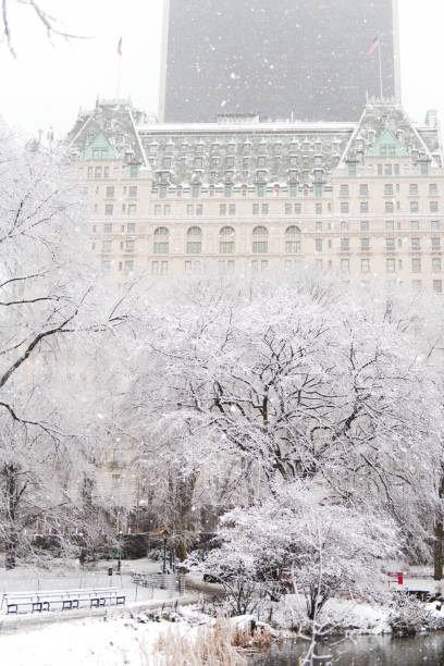 istock Central Park covered in snow, New York, Manhattan 2185533889