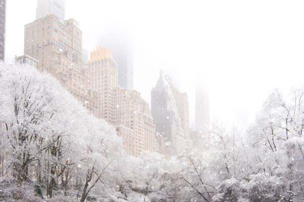 Central Park covered in snow, New York, Manhattan