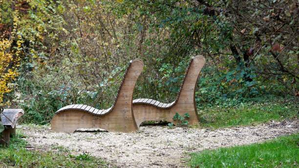 istock Wooden benches in the autumn forest 2185534296
