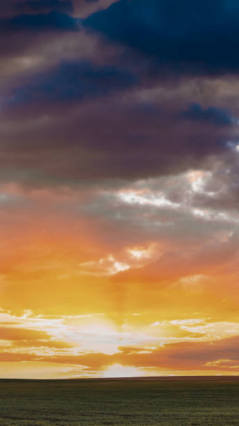 istock Spring Sunset Sky Above Countryside Rural Meadow Landscape. Wheat Field Under Sunny Spring Sky. Skyline. Agricultural Landscape With Growing Green Young Wheat Shoots, Wheat Germs. 2185538883