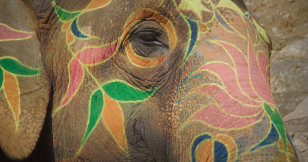 Low Angle View Of Elephant Painting