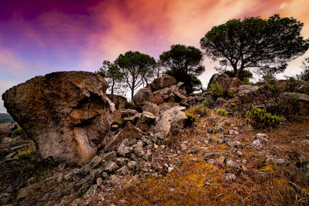Granito y pinos al amanecer. Cadalso de los Vidrios. Madrid.