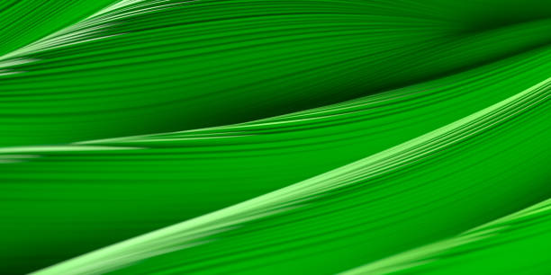 istock Smooth waves abstract background texture. Luxury wavy folds 2185543465