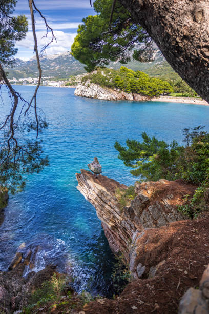 istock Sveti Stefan, Montenegro 2185544515