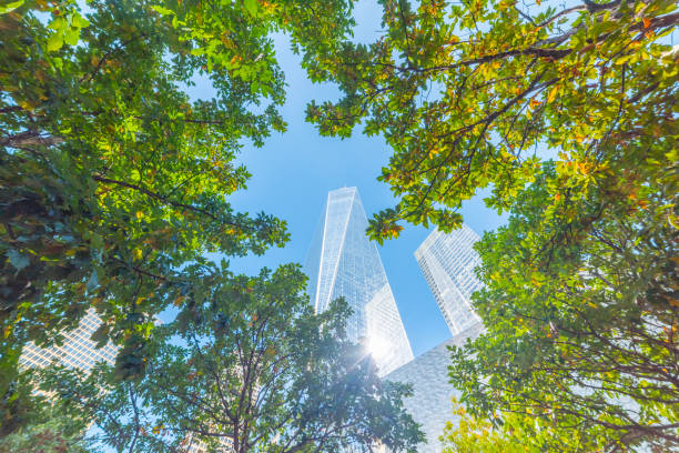 istock Skyscrapers in Lower Manhattan seen through green trees 2185544550