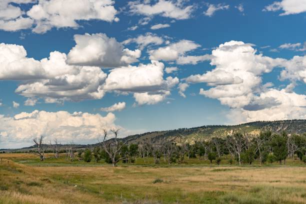 istock Scenic landscape with grassy field and fluffy clouds 2185548443