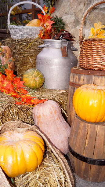 istock Beautiful pumpkin composition,autumn mood 2185550458