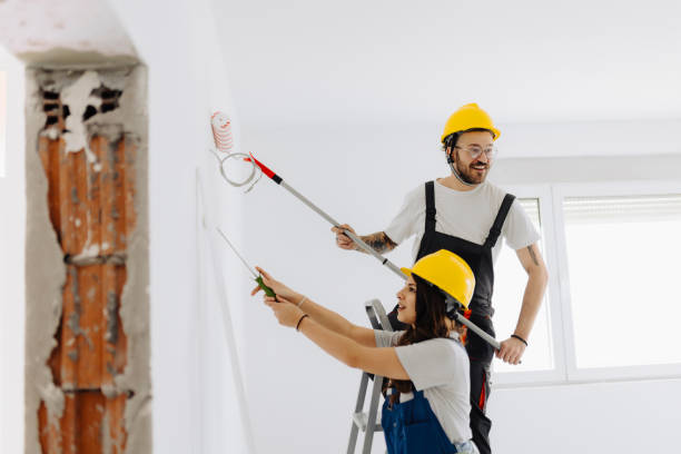 istock Young workers with painting tools indoors. Room renovation 2185550740