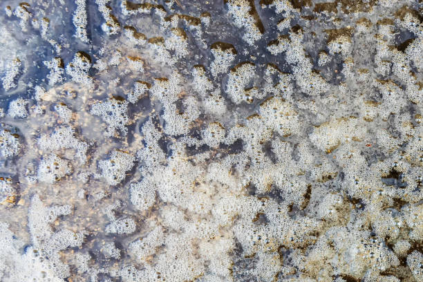 istock Small puddle with rippling foamy water surface after rain shower 2185552034