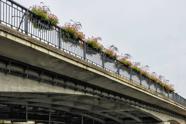 A long concrete bridge with saplings and flowers on the railing. The bridge is in the city, the image is taken from a low angle and the sky is cloudy.