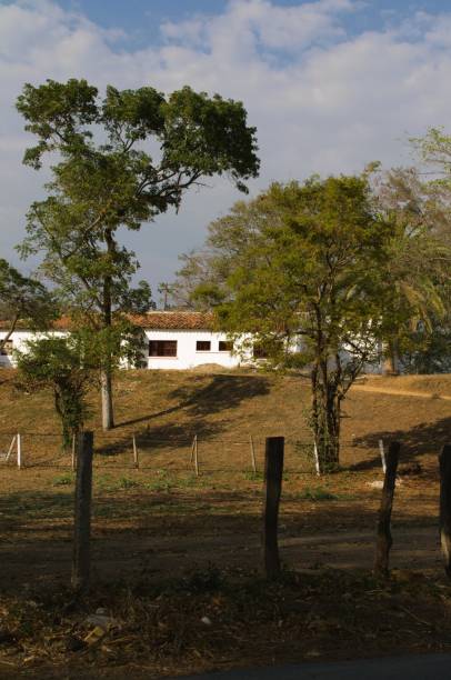 istock Agricultural activity in the state of Aragua. 2185555100