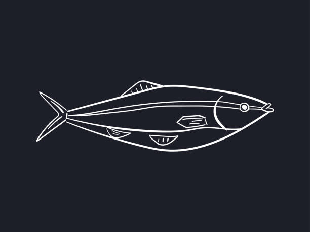 Yellowtail Snapper Drawing 30+ Yellowtail Snapper Stock Illustrations, Royalty-Free Vector ...