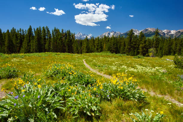 istock Trail to the Tetons 2185556237