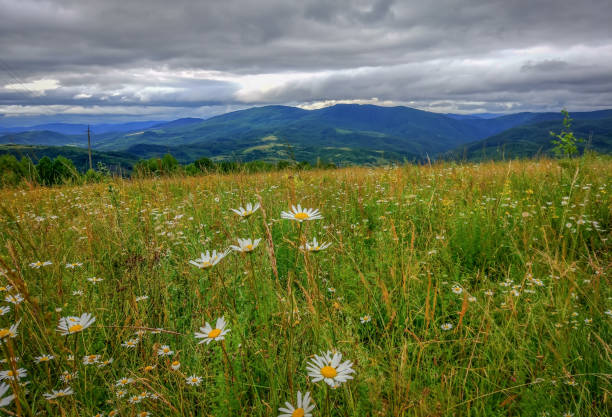 The most beautiful landscape in the mountains, the sky with clouds on a sunny day.