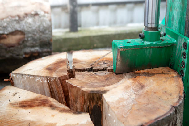 istock Hydraulic wood chopper splitting a big tree stump , close up 2185565466
