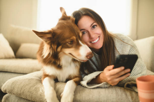 istock woman drinking coffee and using cellphone on the morning with cute fluffy Australian Shepherd dog at home in living room 2185565534