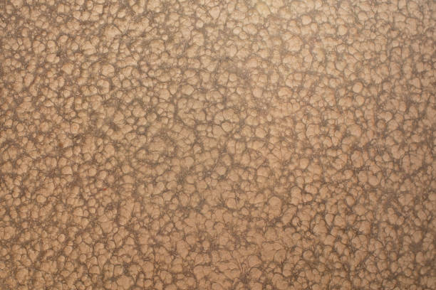 istock Brown color metal coating pattern,  abstract close up textured backdrop 2185565618