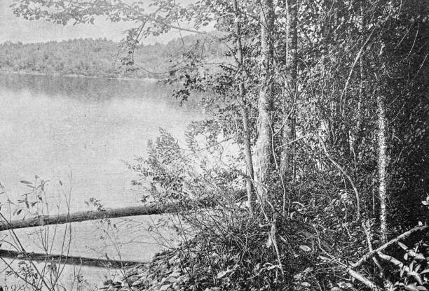 istock Antique image of Worcester and surroundings, Massachusetts: Wachusett Lake 2185567290