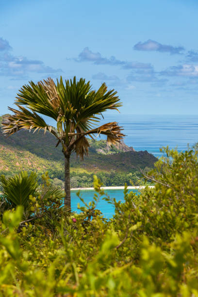 istock View From Praslin To Spectacular And Remote Beaches 2185567993