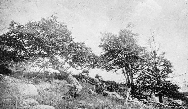 Antique image of Worcester and surroundings, Massachusetts
