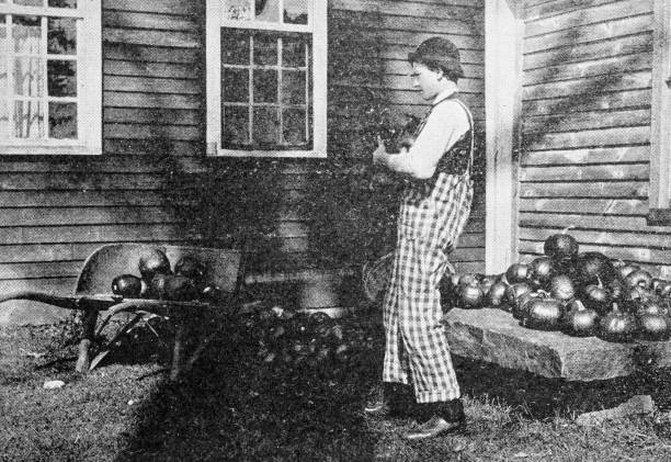 istock Antique image of Worcester and surroundings, Massachusetts: Pumpkins harvesting 2185569936