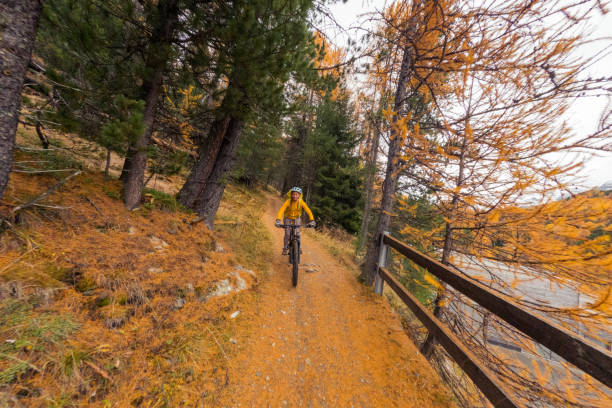 istock Cyclist Navigating Scenic Autumn Trail 2185571861