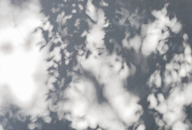 istock white old wall with shadows in sunny day 2185572053