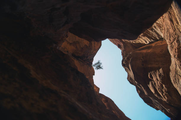 Petra, the legendary city carved into the rock in Jordan in 2024