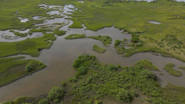 istock Natural salt water marsh by beach on coastline in St Augustine Florida 2185574844