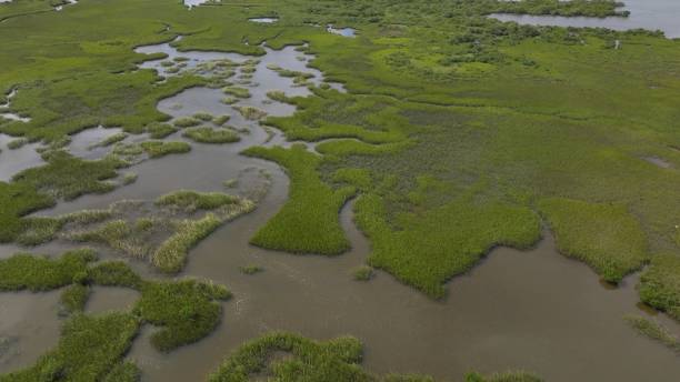 istock Natural salt water marsh by beach on coastline in St Augustine Florida 2185574847