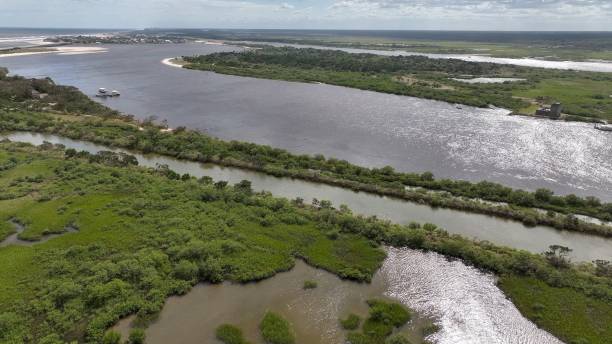 istock Natural salt water marsh by beach on coastline in St Augustine Florida 2185574872