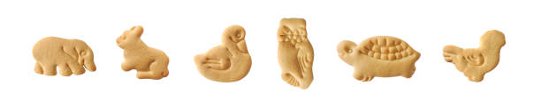 Animal shaped cookies isolated set