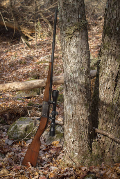 istock Hunting Rifle In The Forest 2185577864