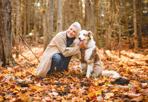 istock Loving young woman with her shepherd Australian on fall season 2185577960